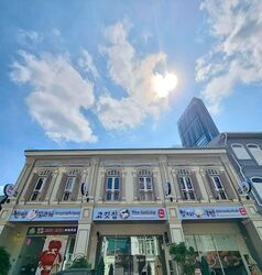 Tanjong Pagar Conservation Area (D2), Shop House #541521101